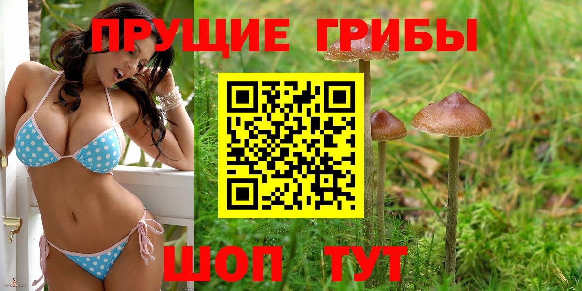 Галлюциногенные грибы Psilocybe Невинномысск