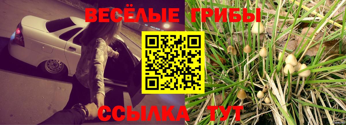 Невинномысск  Галлюциногенные грибы Psilocybe  Галлюциногенные грибы GOLDEN TEACHER  Вход с VPN 